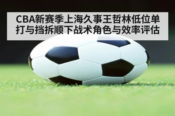 CBA新赛季上海久事王哲林低位单打与挡拆顺下战术角色与效率评估